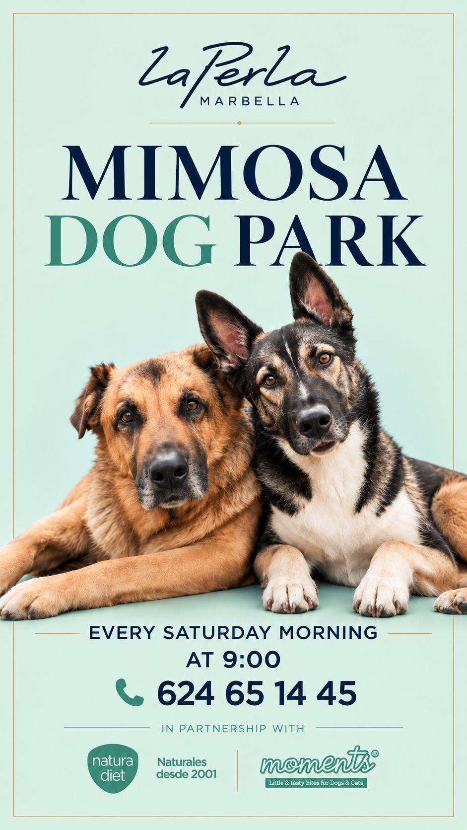 Dogpark Mimosa